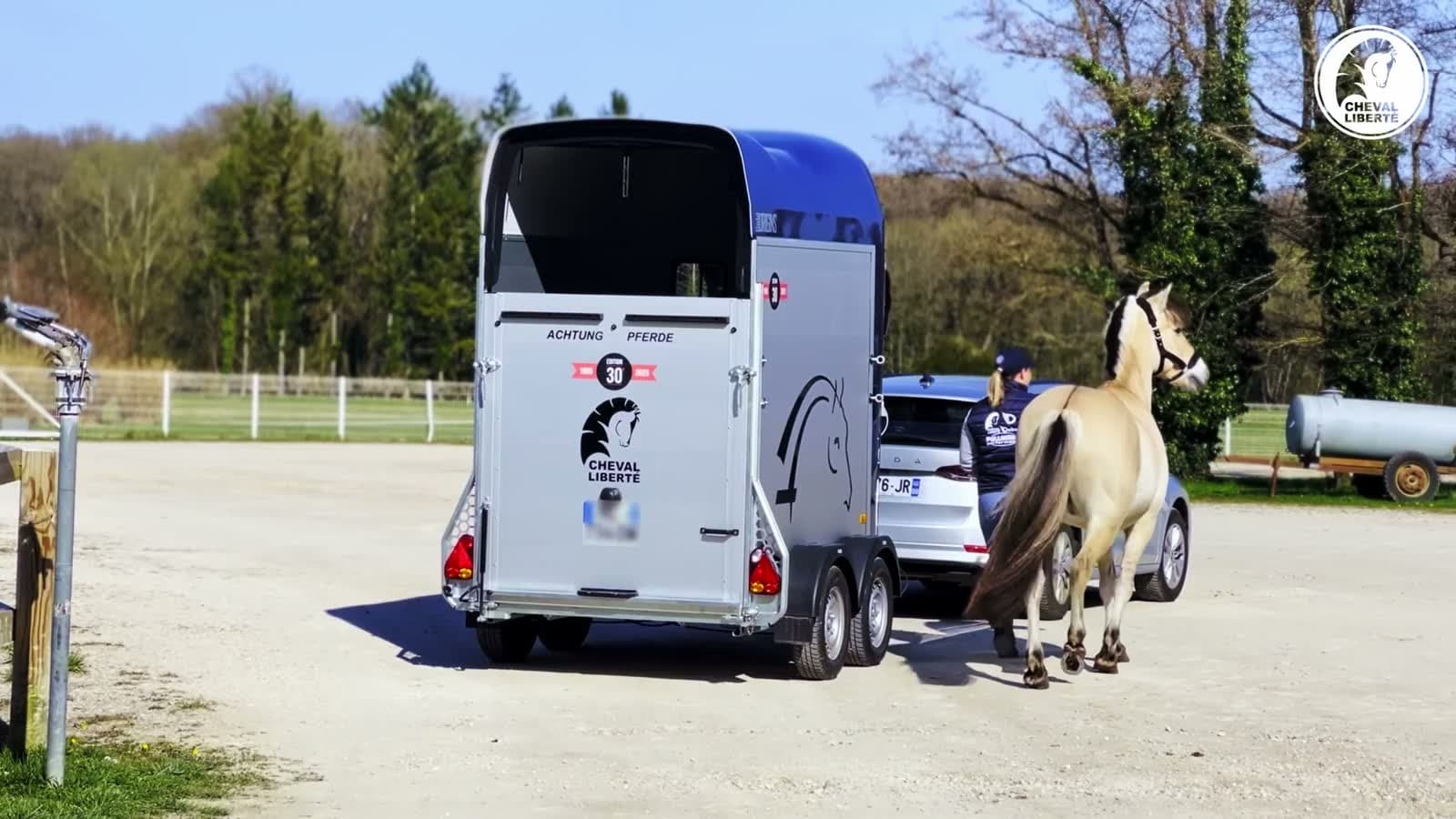 Blue and white twin-axle horse trailer hitched to a car, ready to leave