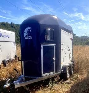 Cheval Liberté Gold One Origins de 2025