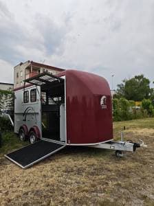 Cheval Liberté Maxi 4 de 2022