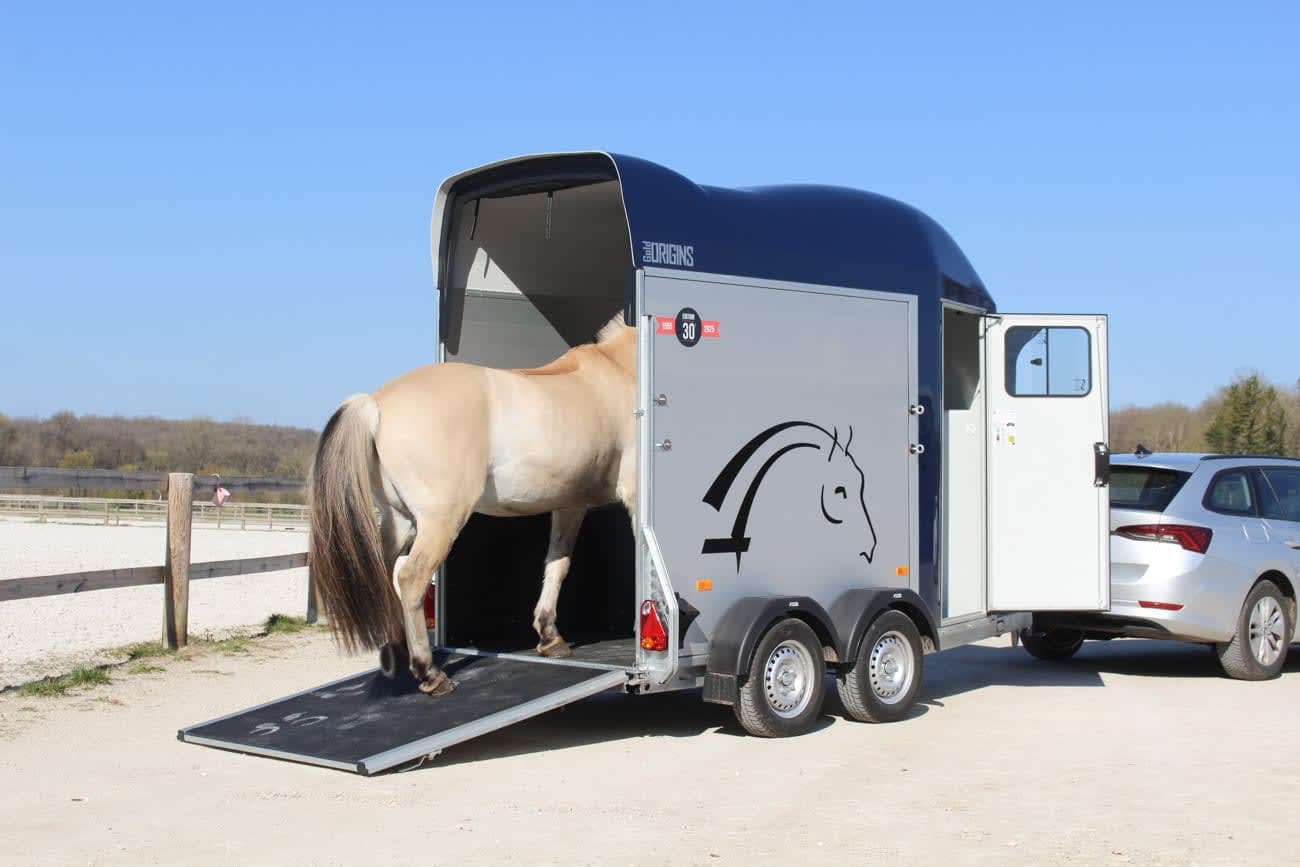 Remolques de un caballo