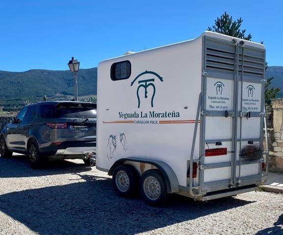 Sin marca Van dos caballos