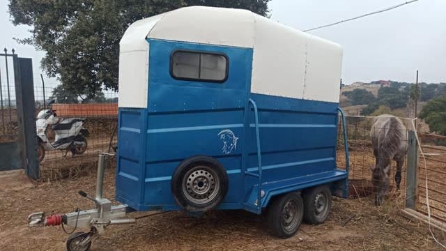 Sin marca Van, 2 caballos