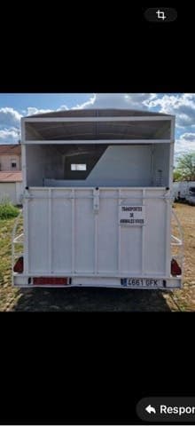 Sin marca Vendo van tres o cuatro caballos