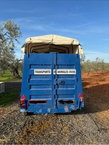 Sin marca VAN ALE 2 CABALLOS