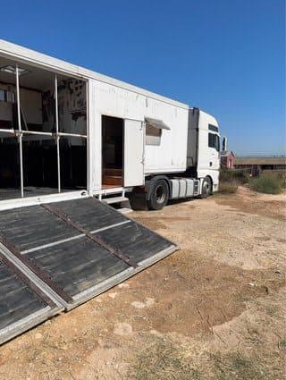 Remolque Caballos remolque para caballos